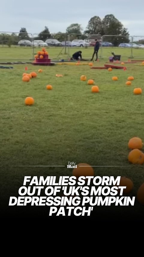 Families storm out of UK's most depressing pumpkin patch