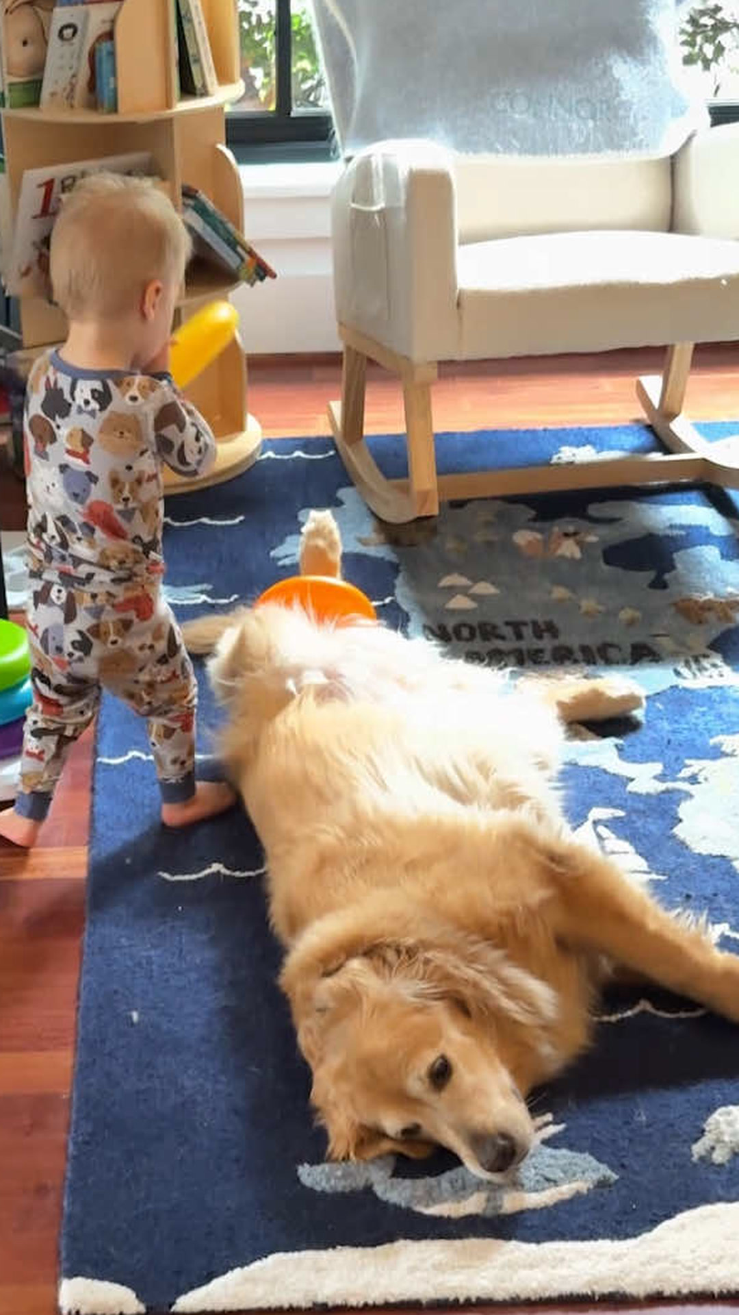 A golden retriever and the baby melt hearts in the sweetest way