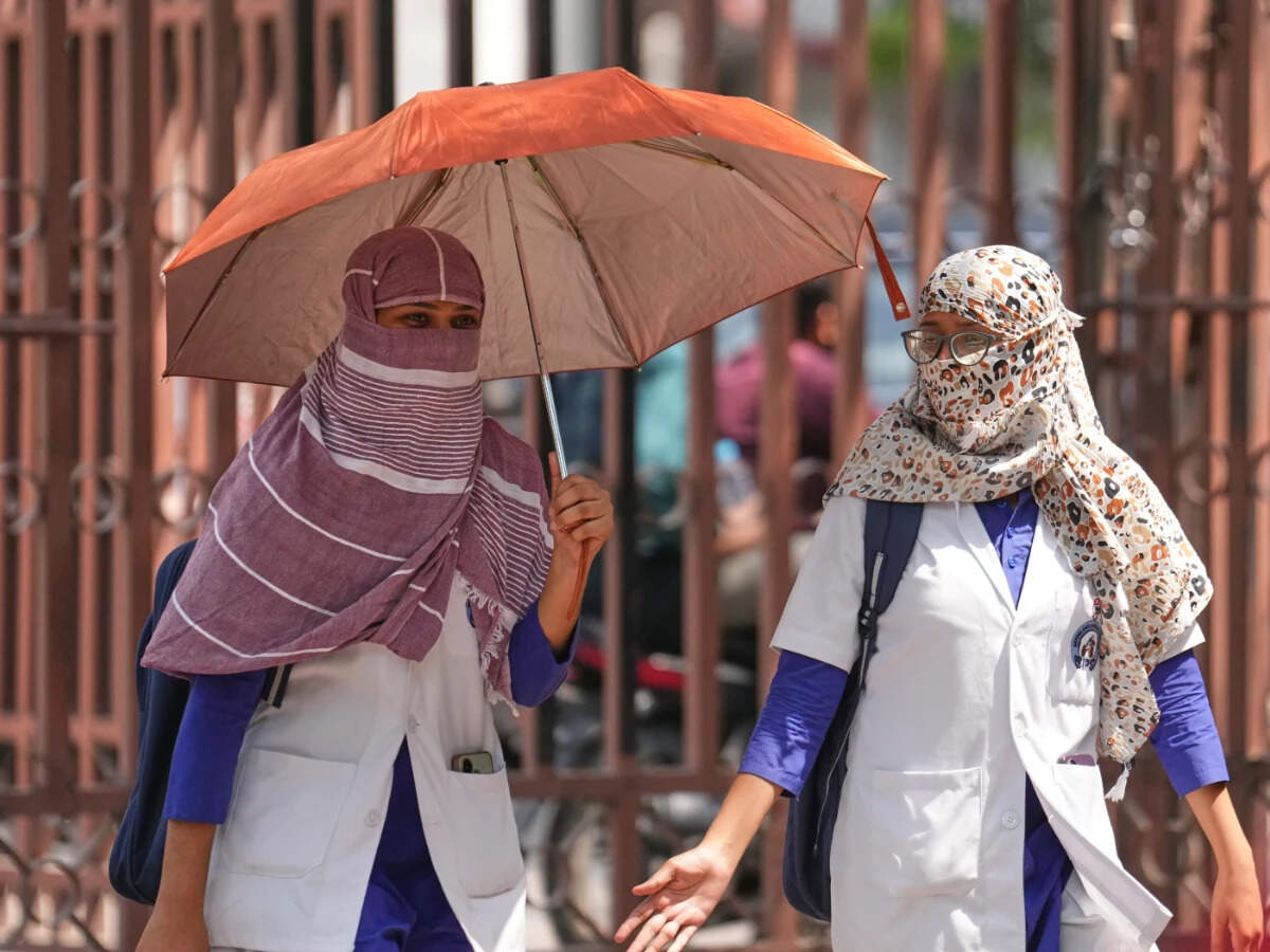 North India turned hotter, drier over 70 years, peninsula wetter: Study