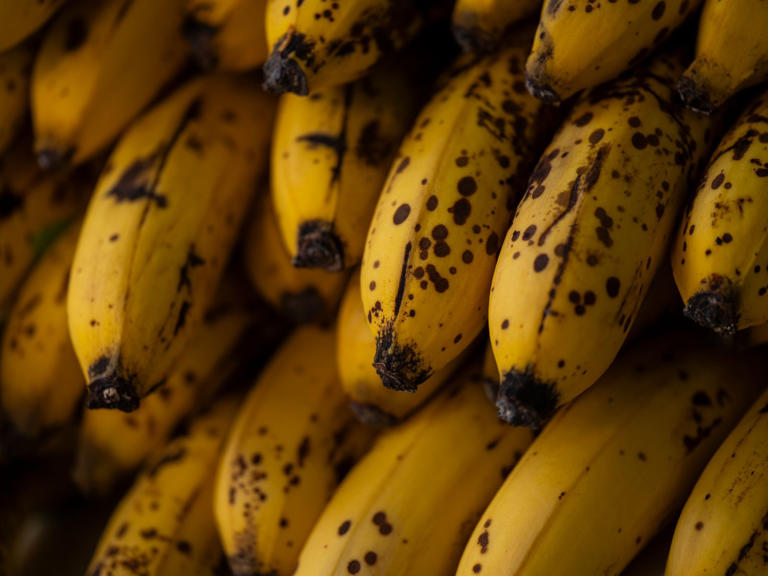 Elvis Presley’s favorite peanut butter and banana sandwich: The ...