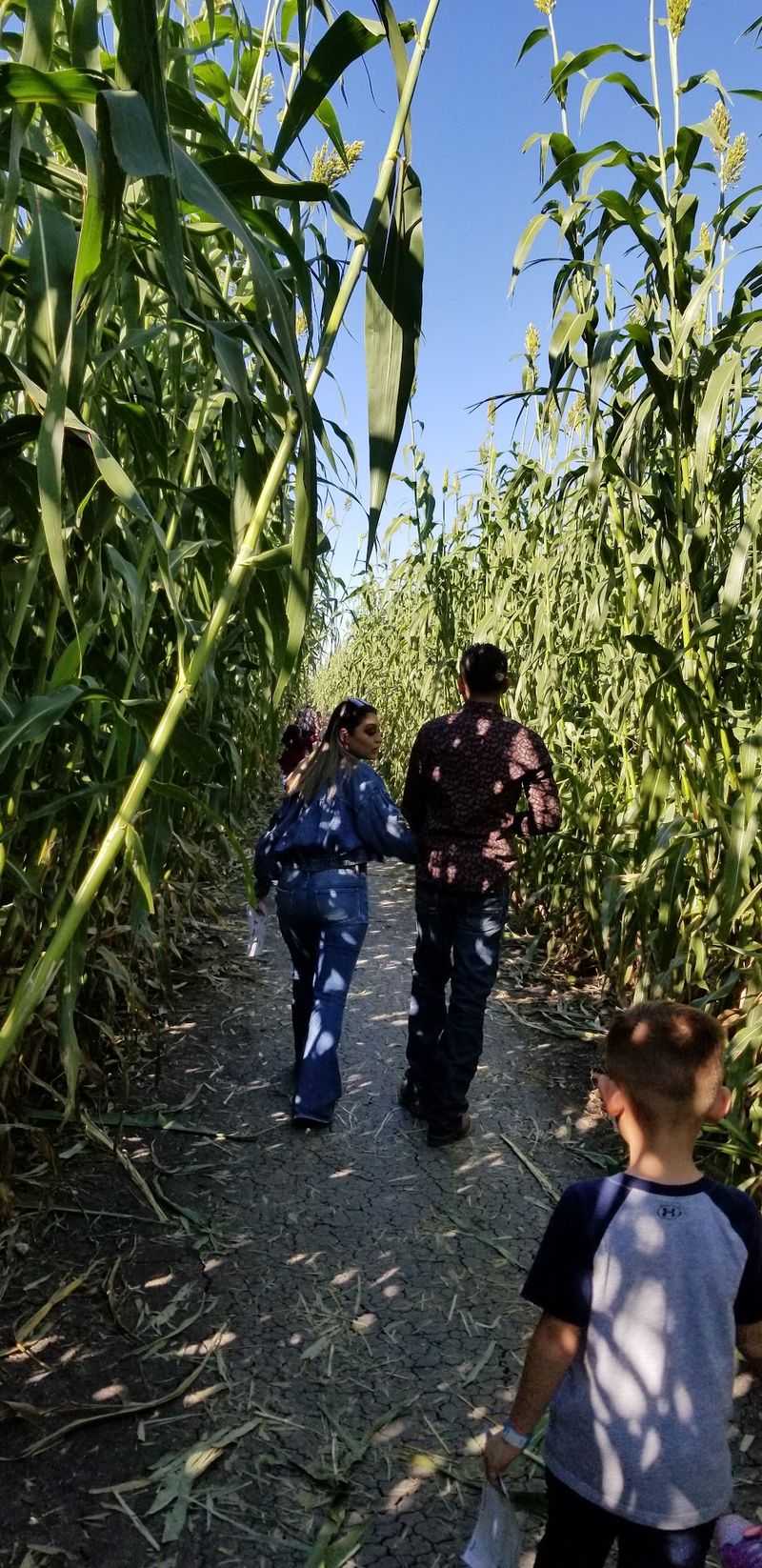 A Texas farm combines pumpkins, corn mazes, and a surprisingly ...