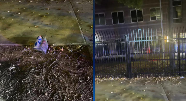Bottle firebomb snagged by perimeter fence at Georgia ICE facility
