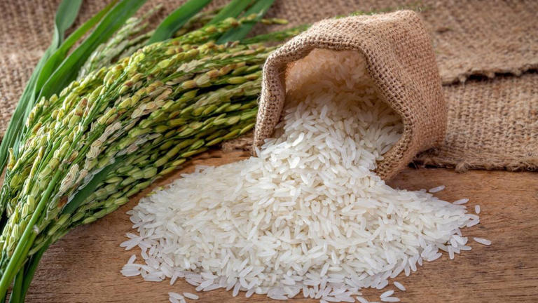 How to make fluffy rice and the mistakes people make. Rinsing, soaking ...