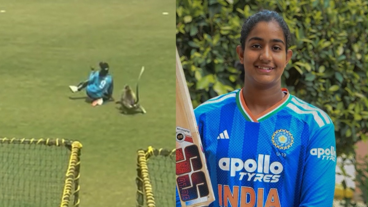 Watch: Monkey runs onto field, leaves Karnataka fielder rattled in U19 ...