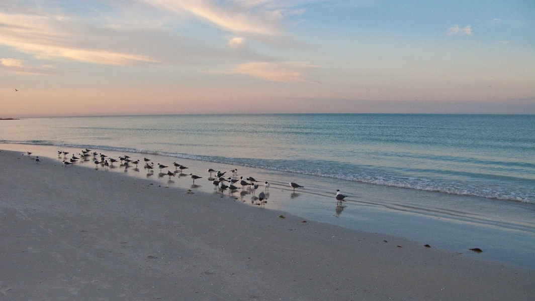 Siesta Key tops travel lists with quartz sand allure