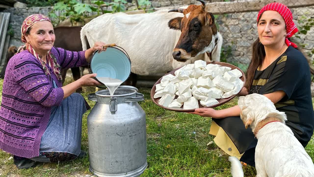 Fresh milk becomes homemade cheese in a peaceful Azerbaijani mountain ...