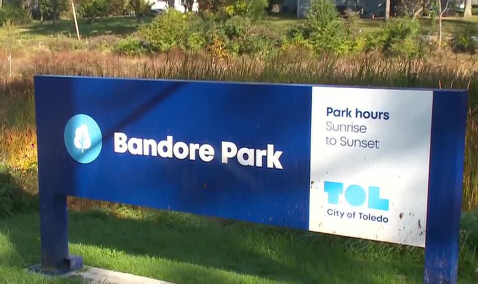 Bandore Park stream restoration project aims to create healthier habitat