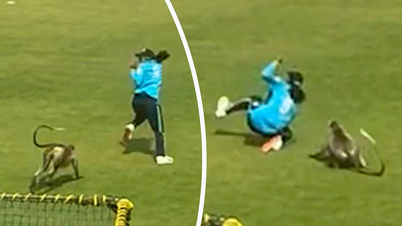 Monkey storms cricket field and sends young player tumbling in India