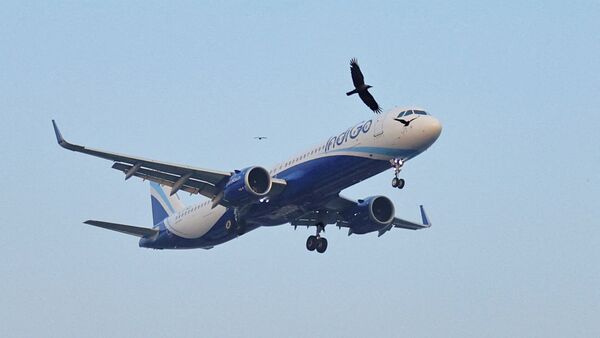 Goa cuts ATF VAT to 7% from 15% effective October 24: Will flight fares ...