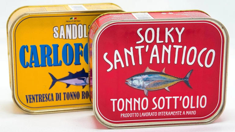 Dietitians address common fears about mercury and sodium in canned ...