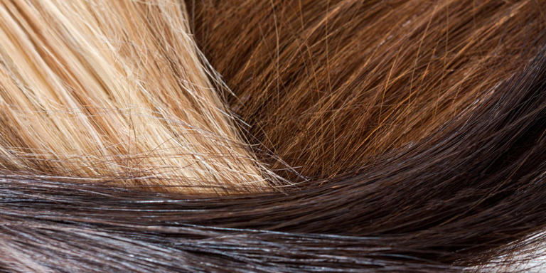 Experts say these warm, dimensional hair colors are defining fall
