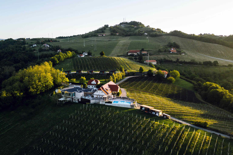 Taste the cuisine at the crossroads of Europe on a gourmet odyssey in ...