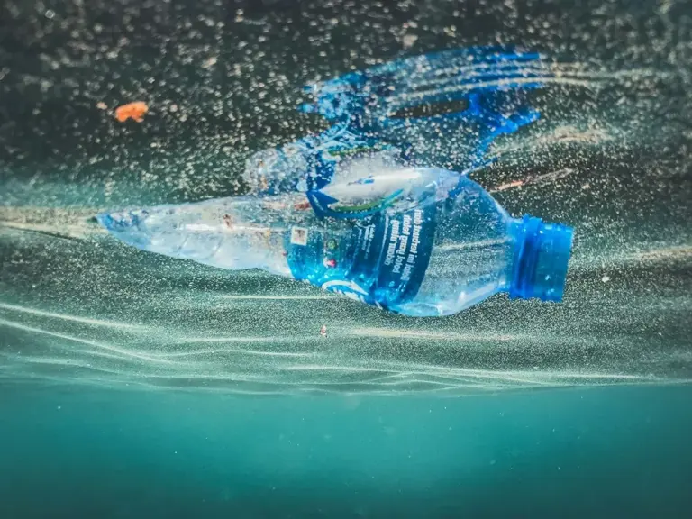 Oceans ranked by plastic pollution