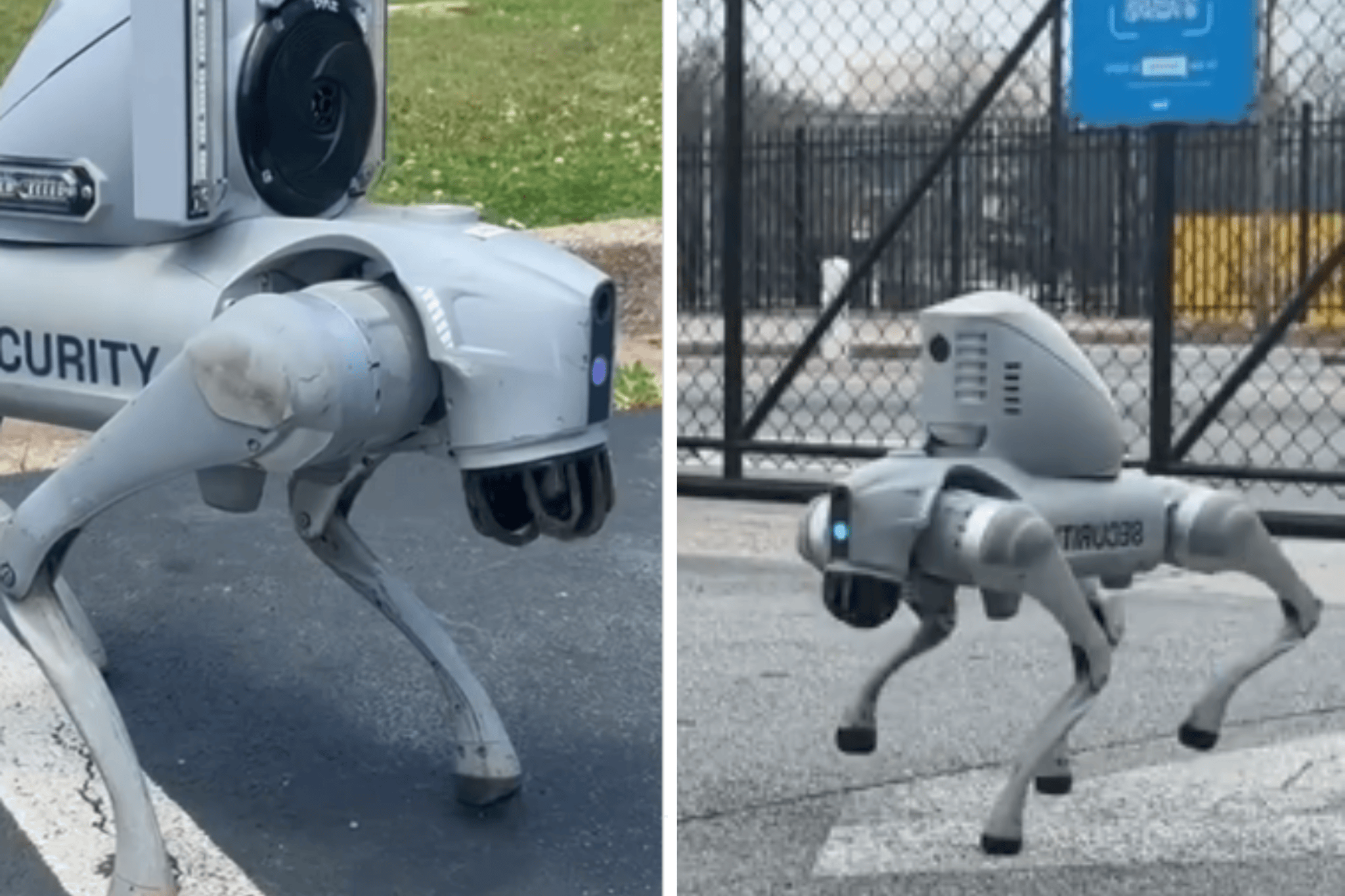 Robot dog helps catch murder suspects