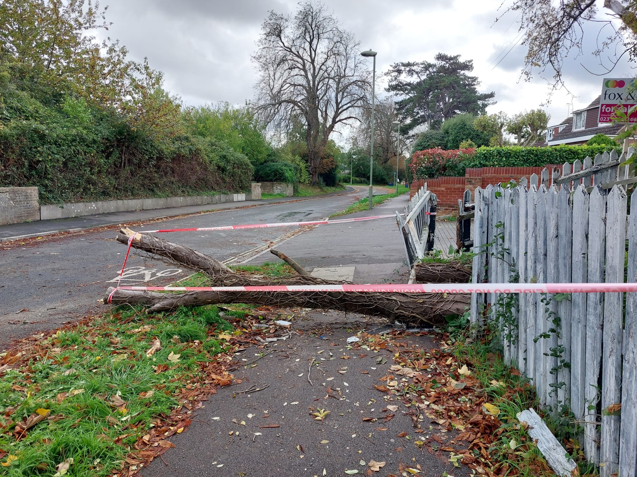 Tree falls on person in Havant sparking massive emergency service response