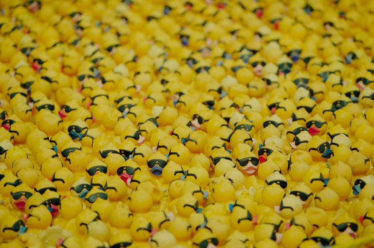 What are ya - yellow? The rubber duck carries filaments of American ...