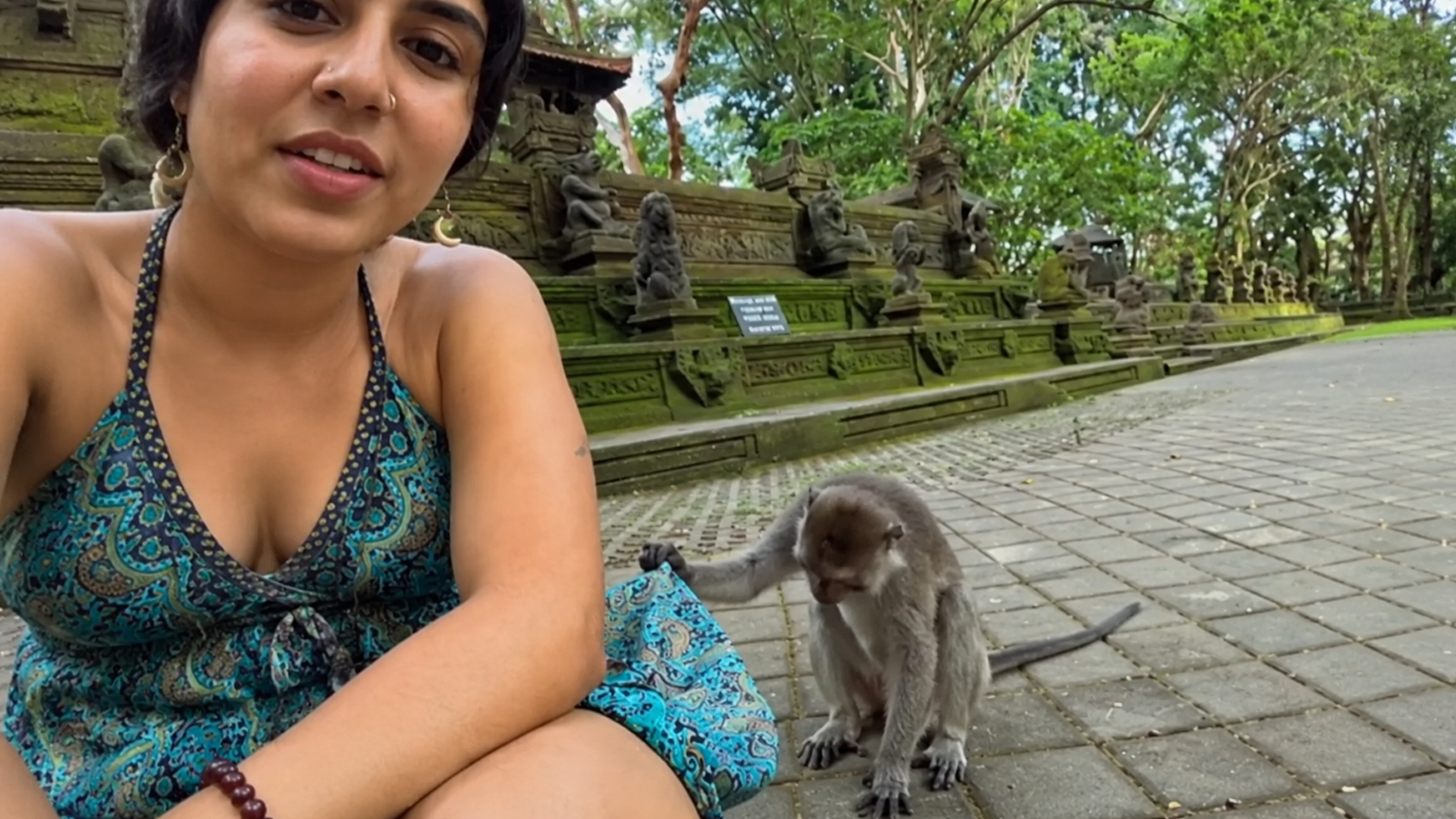 Wild monkeys acting like total punks on camera