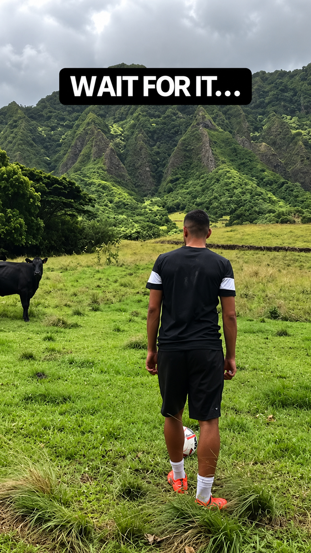 I kicked the ball straight through a cow