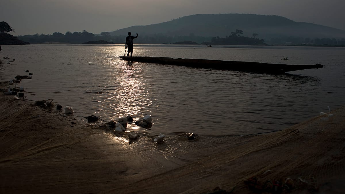Deforestation threatens fish stocks and livelihoods in Central African ...