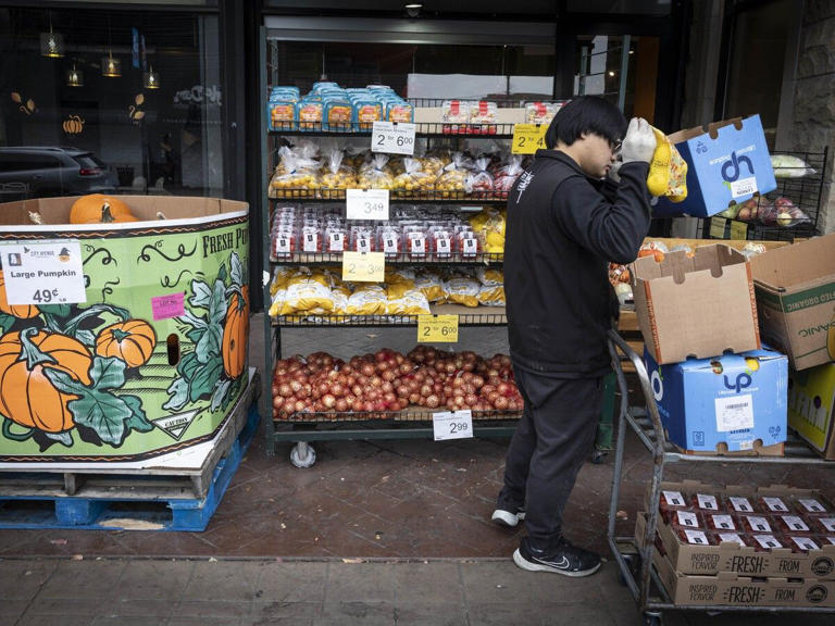 BC election analysis: How do parties’ proposals for lowering grocery ...