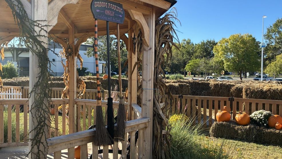 Free fall fun for families at The Patch at Broadway at the Beach