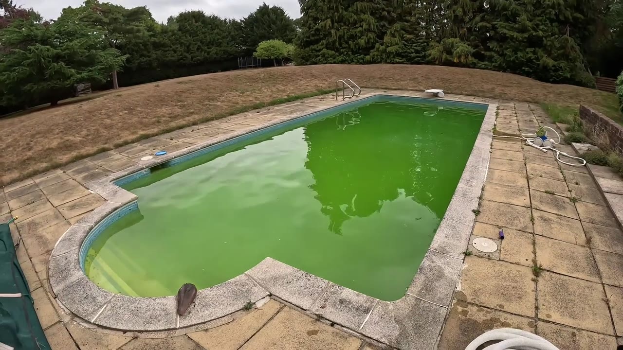 Professional cleaner clears a green swimming pool in 24 hours