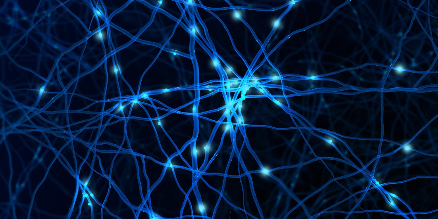 Testosterone may help new brain cells survive, and timing could matter
