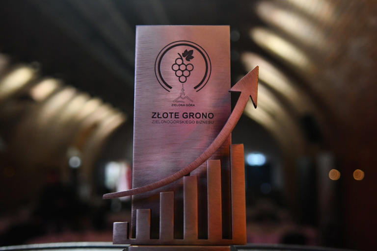 Nagrodziliśmy liderów zielonogórskiego biznesu. Oto najlepsze firmy w ...