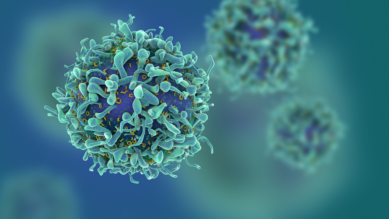 Top 10 FAQs about Shamonda virus answered