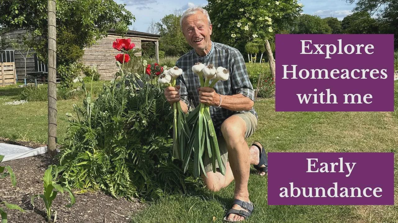 No dig gardening: Early harvests, succession planting & summer crops in ...