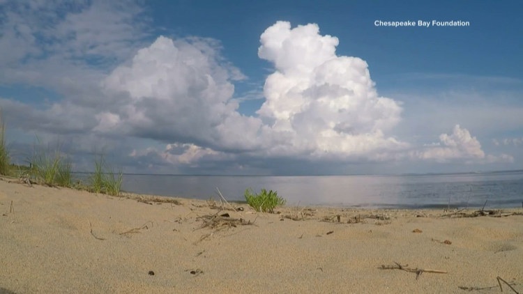 Chesapeake Bay’s low-oxygen problem shows how quickly conditions can ...