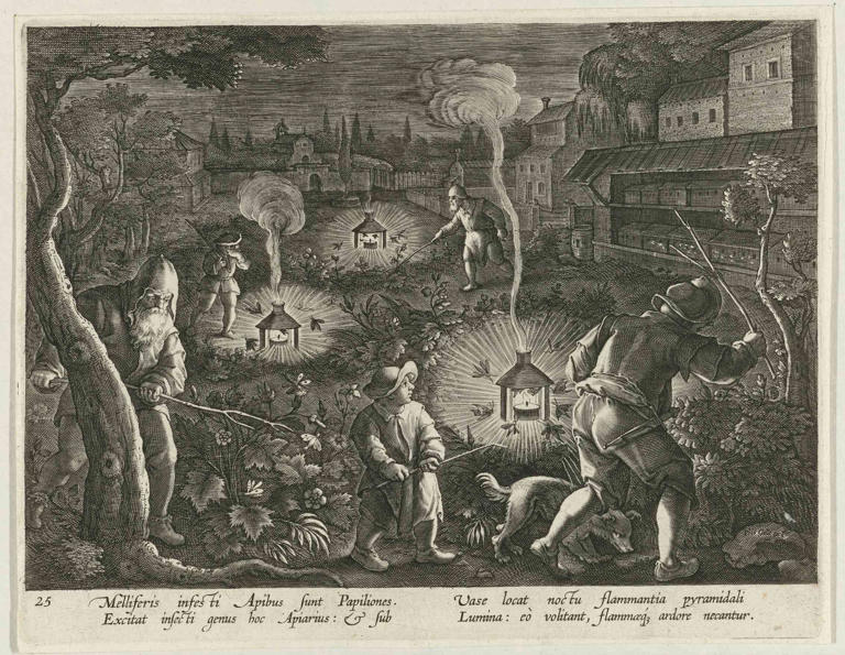 Moths in art history: centuries of creativity reveal the beauty of a ...