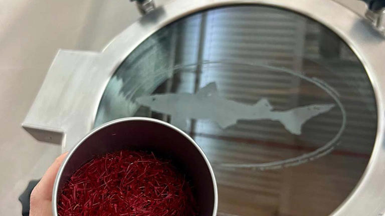 Dogfish Head is reviving its Midas Touch beer, based on residue from a ...