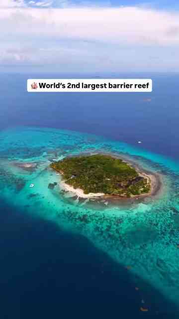 Welcome to Belize: Hidden beaches, jungle trails & blue holes!🐠🚤