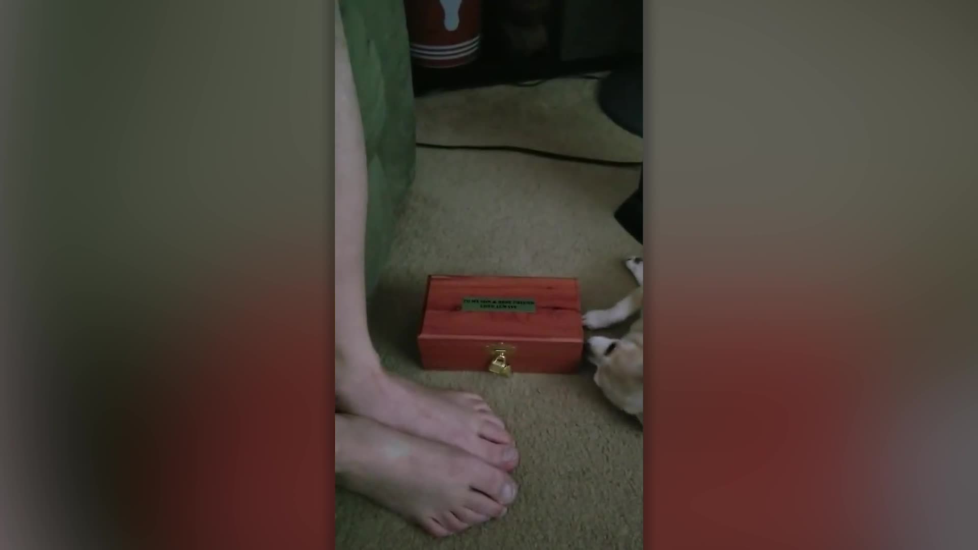 Dog displays touching response to ashes of departed friend