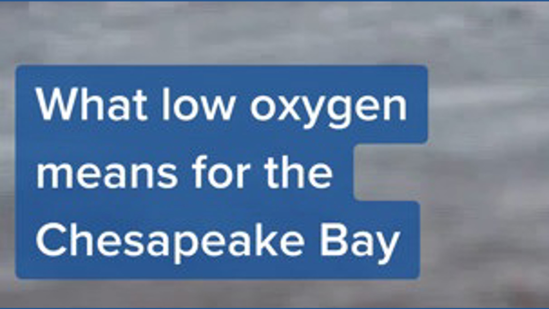 Chesapeake Bay low-oxygen levels: What it means for Virginia waters