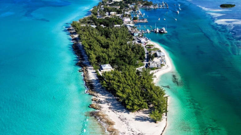 British family's Bahamas cruise turns tragic after mother dies ...