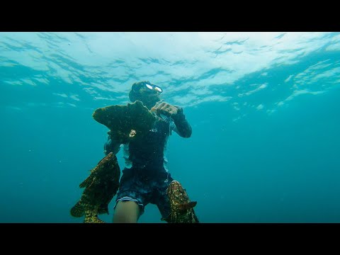 Thrilling freediving experience