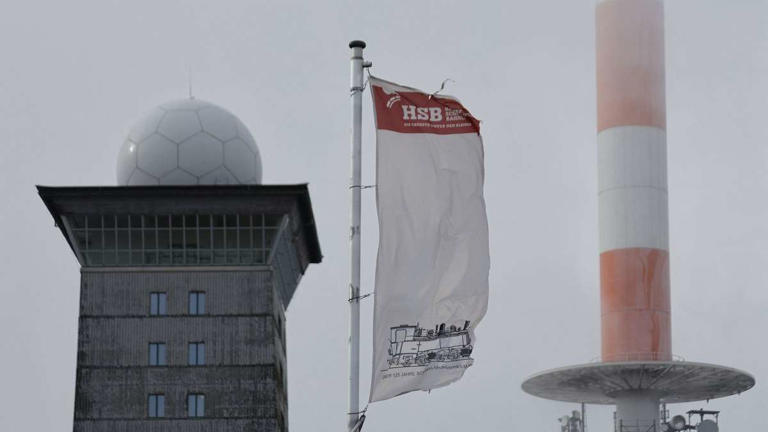 Herbststurm legt los: Regionalbahn fährt gegen Ast