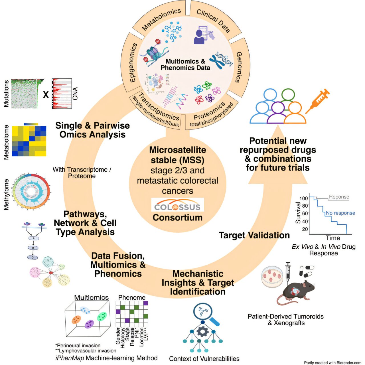 Study identifies potential new treatment targets for the most common ...