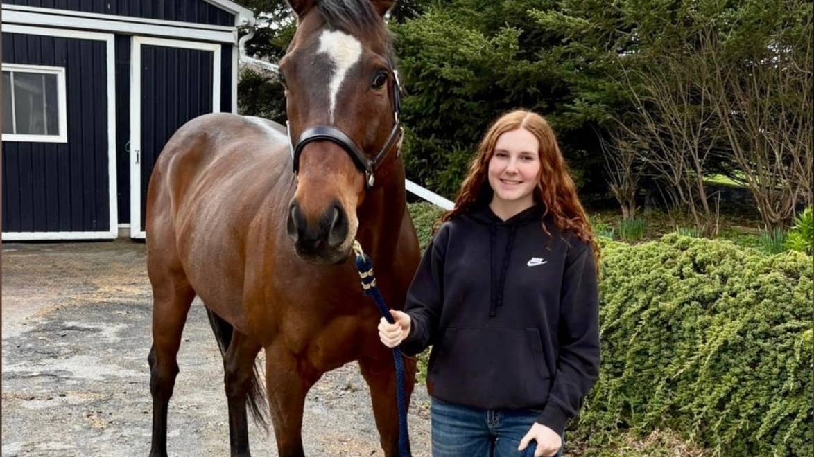 Instant connection: Graded stakes winner Treason helps Nicola MacLeod ...