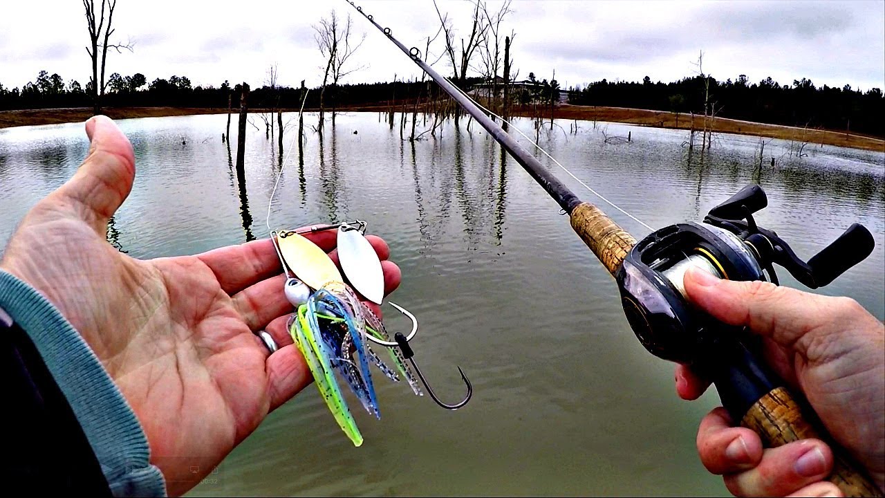 Spring fishing tips (unexpected catch)