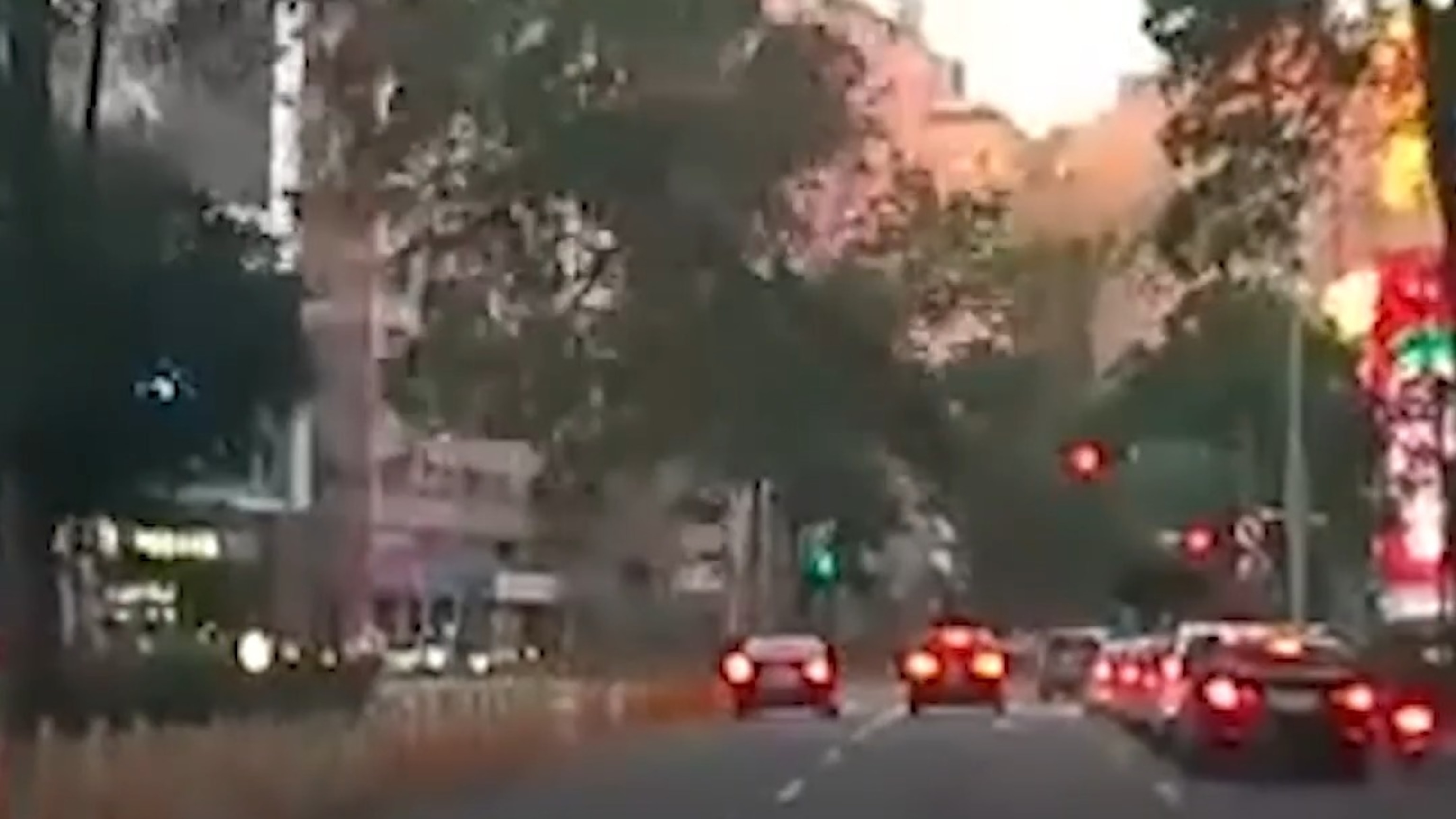 Tree crashes onto moving car amid typhoon in Taiwan