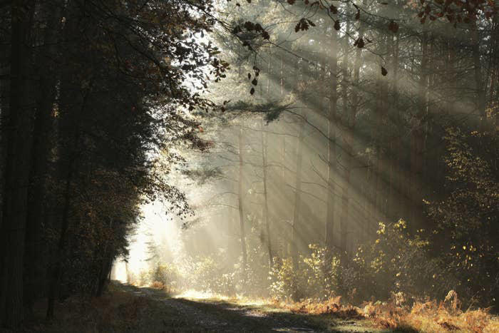 Essential survival tips most people don't know but could save your life