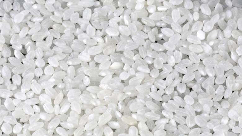 The 5 absolute best types of rice for fried rice and 5 others to avoid