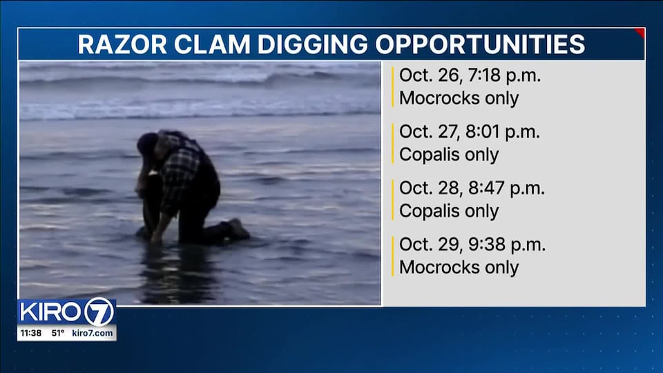 First round of razor clam digging set for Oct. 26 to 29 at two beaches