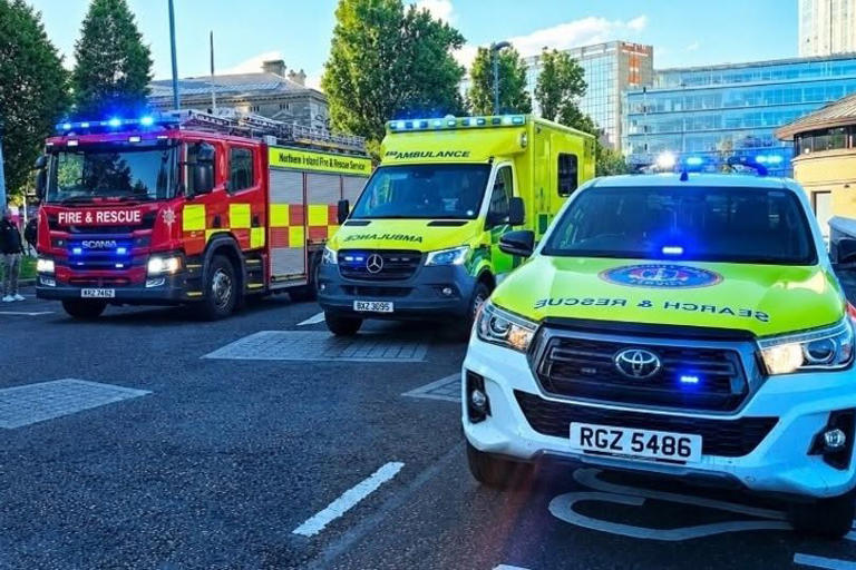 Emergency services rescue person in distress from River Lagan