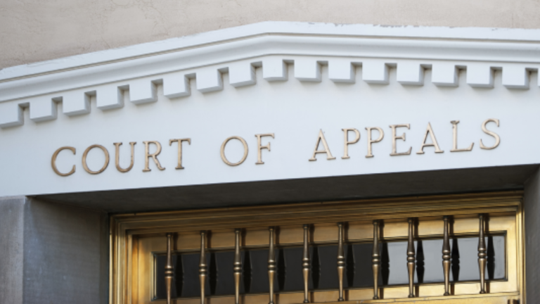 Tennessee legal fight; court restores nephew’s right to inherit uncle’s ...