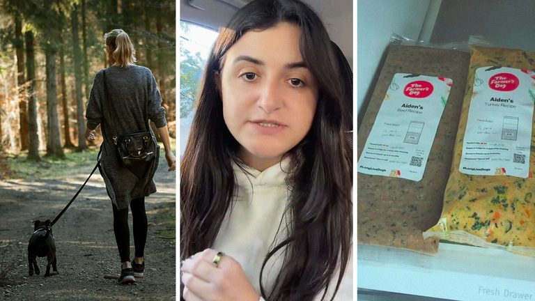 New York City woman is a professional dog walker. Then she realizes all ...
