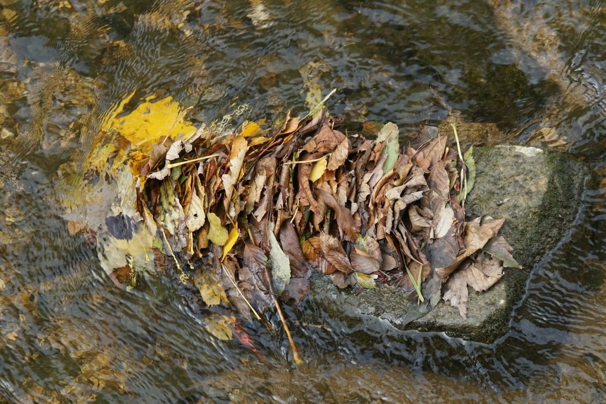 A quick fall reset that can help protect your home